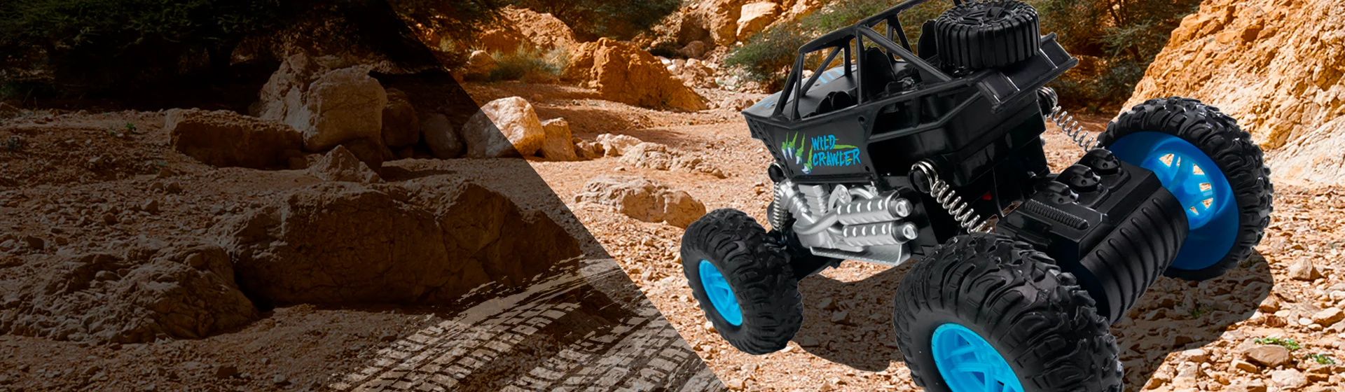 Unleash Your Inner Explorer